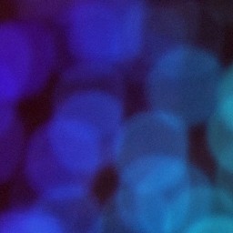 Bokeh-300